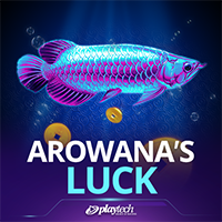 Arowanas Luck